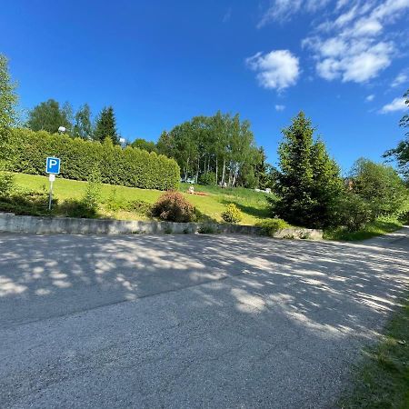 Penzion Horal Hotel Dolni Morava Bagian luar foto