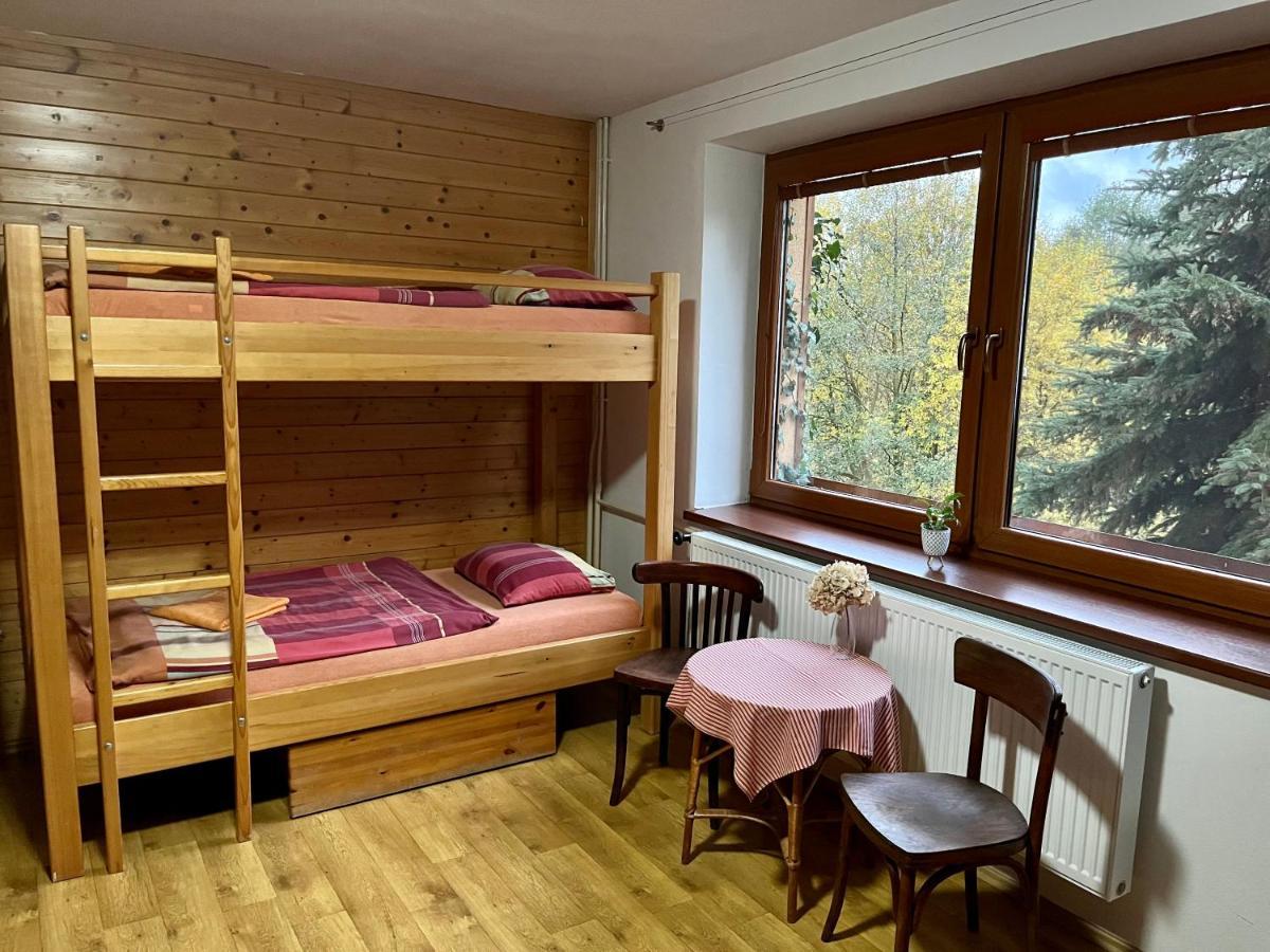 Penzion Horal Hotel Dolni Morava Bagian luar foto