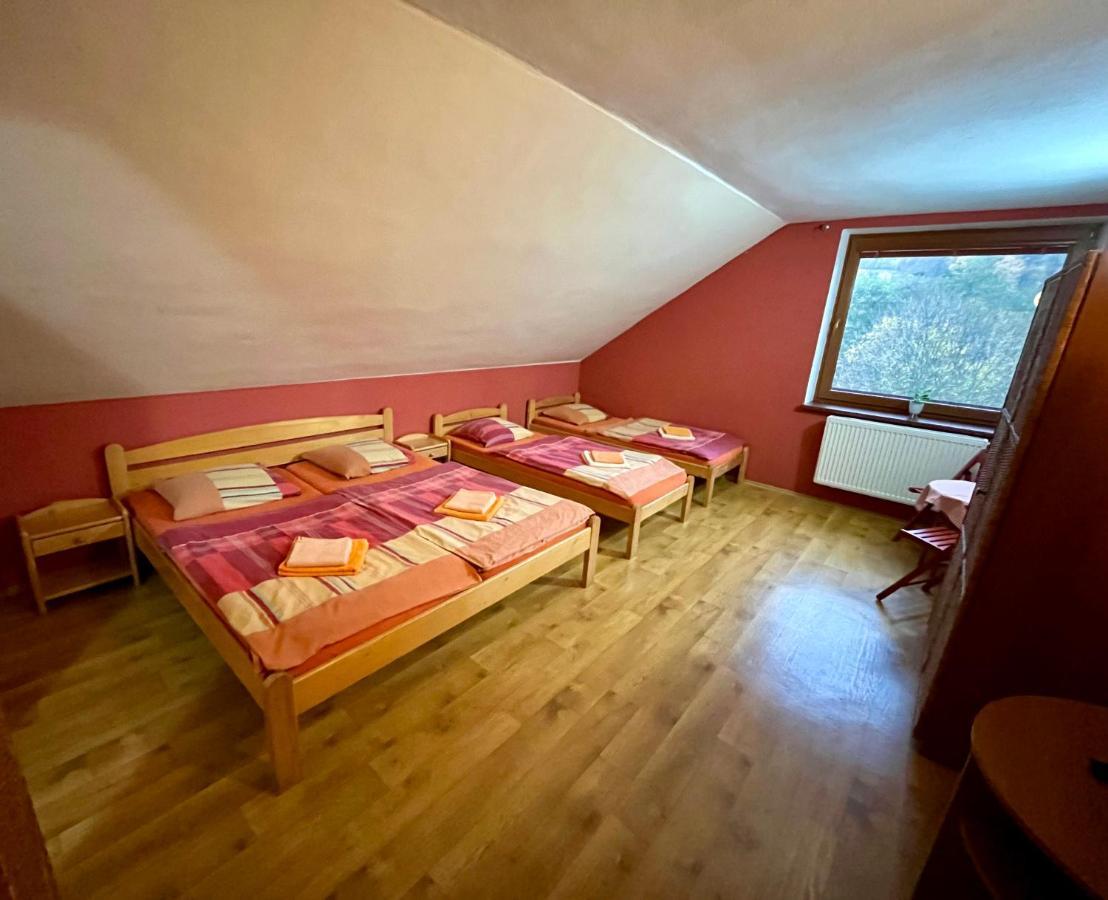Penzion Horal Hotel Dolni Morava Bagian luar foto