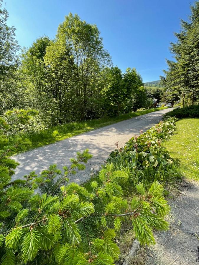 Penzion Horal Hotel Dolni Morava Bagian luar foto