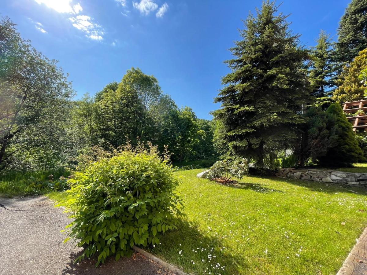 Penzion Horal Hotel Dolni Morava Bagian luar foto