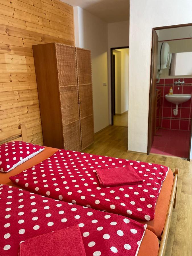 Penzion Horal Hotel Dolni Morava Bagian luar foto